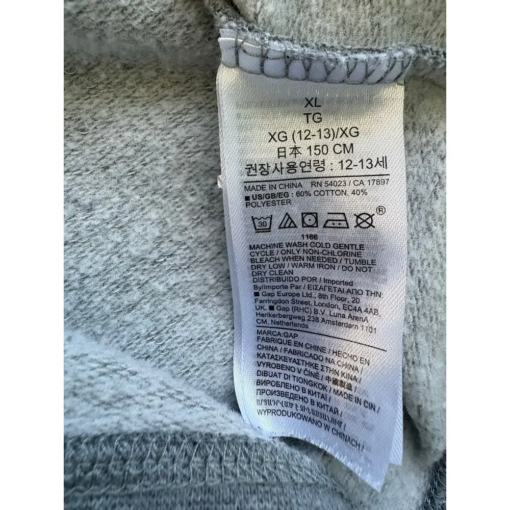 Gap Kids Peanuts Snoopy Logo Sweatshirt Gray Size XL Joe Cool Pullover Unisex